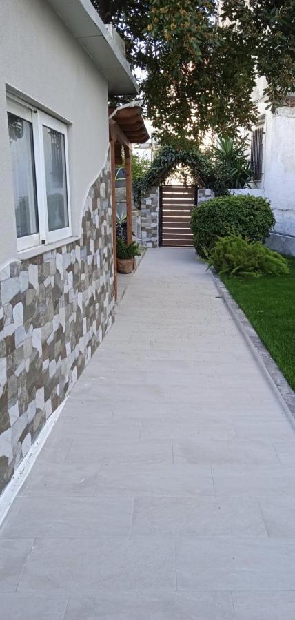 Villa Alkistis House à Vólos Extérieur photo